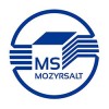 МОЗЫРЬ СОЛЬ